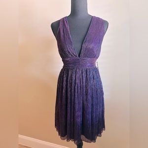 NWT‼️ Ruched Deep V-Neck Formal Dress